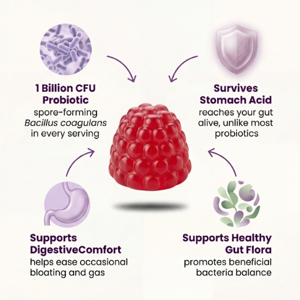 Bello Daily Gut Health Gummies