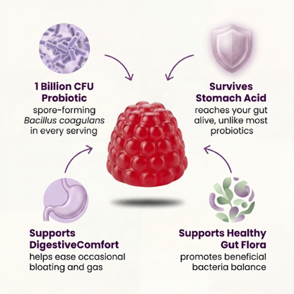 Bello Daily Gut Health Gummies